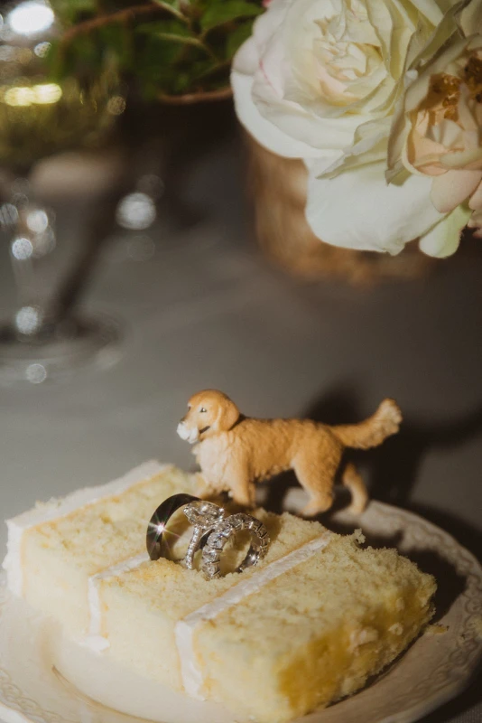 An Outdoor Wedding for Mikayla and Luke