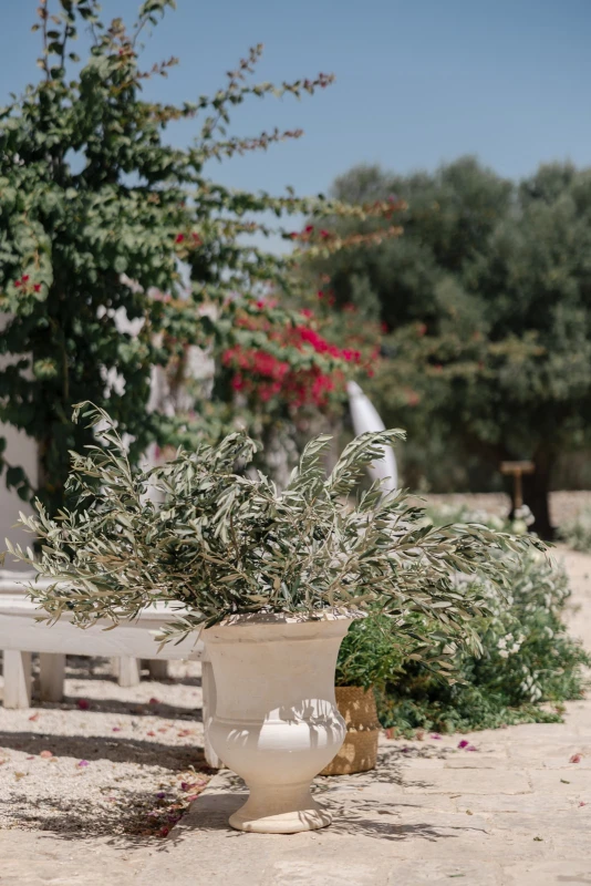 A Garden Wedding for Milena  and Alexandre 