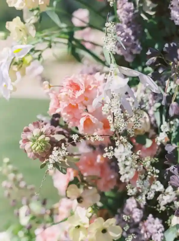 A Colorful Editorial for Cosette and Louis