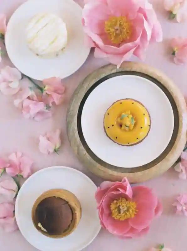A Colorful Editorial for Cosette and Louis