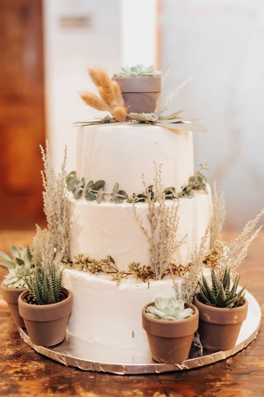 A Desert Wedding for Molly and Kenny