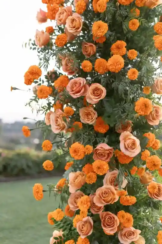 A Colorful Wedding for Molly and Max