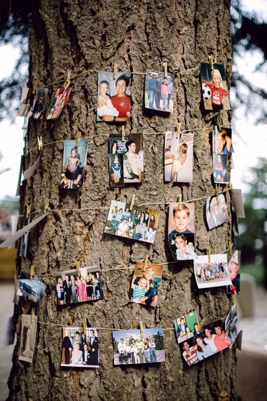 A Rustic Wedding for Molly and Parker