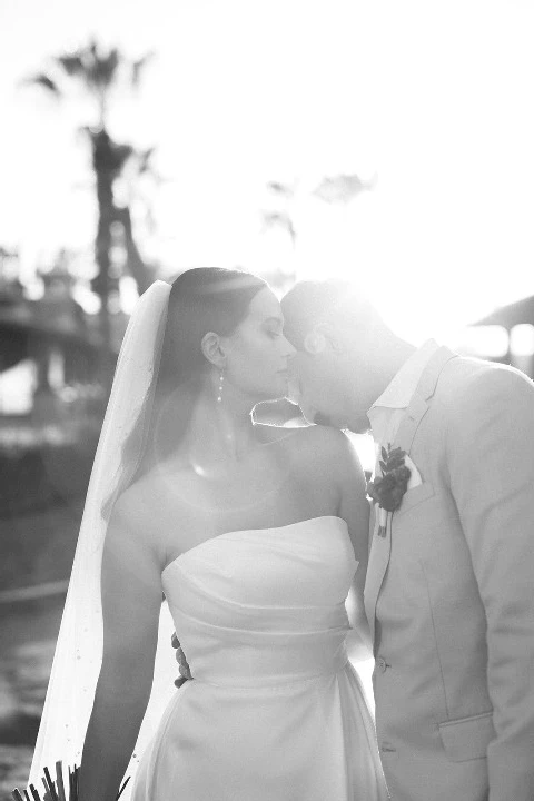 My Dream Wedding in Cabo