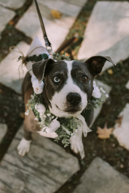 A Mountain Wedding for Myrna and Stephen