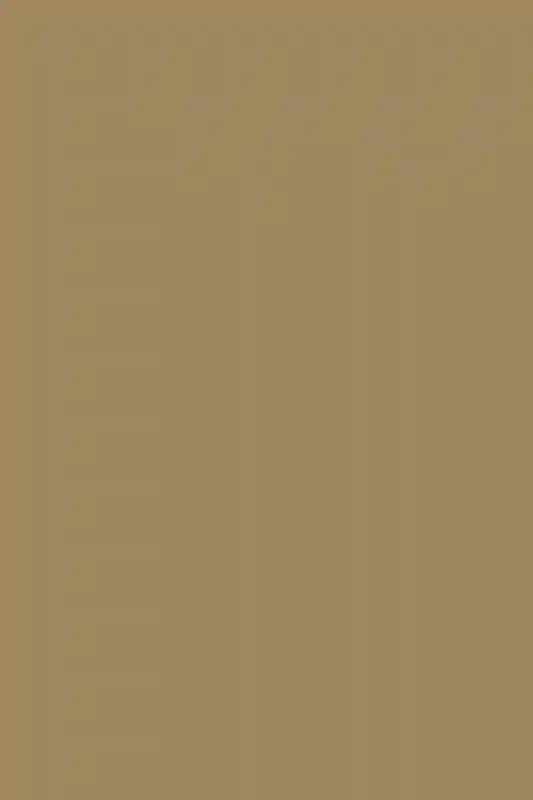 A Boho Wedding for Nancy and Gus