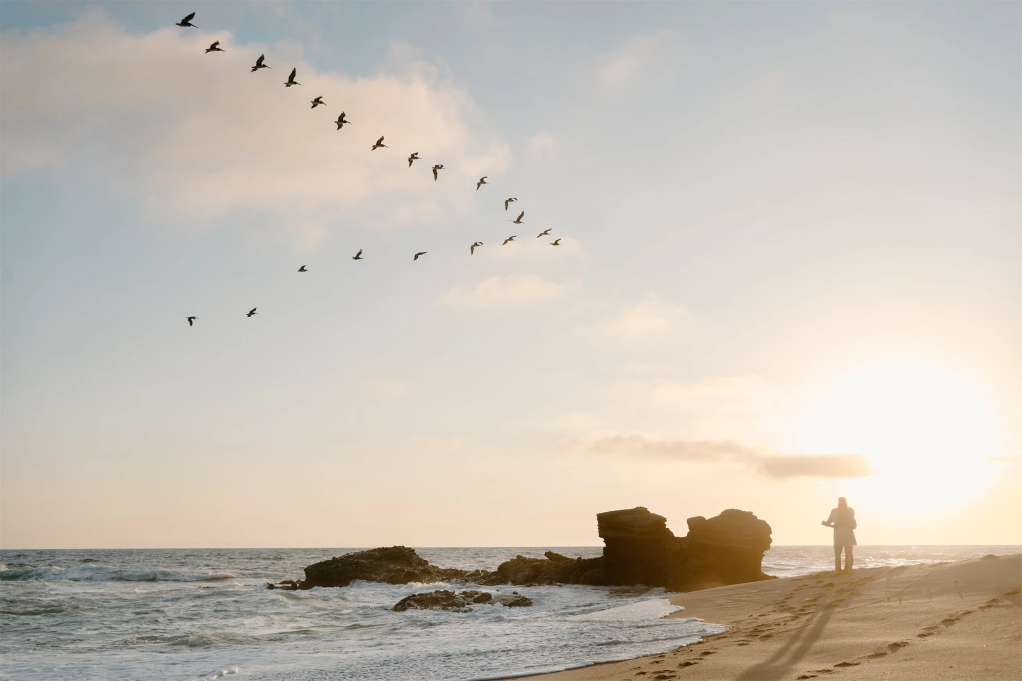 Natasha Daboub Photography