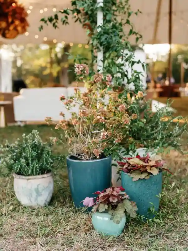 A Wildflower Wedding for Neel and Morgan