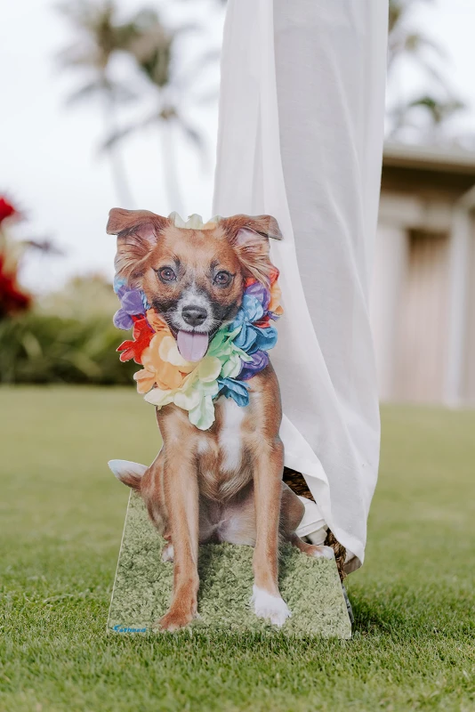 A Waterfront Wedding for Nicole and Brett