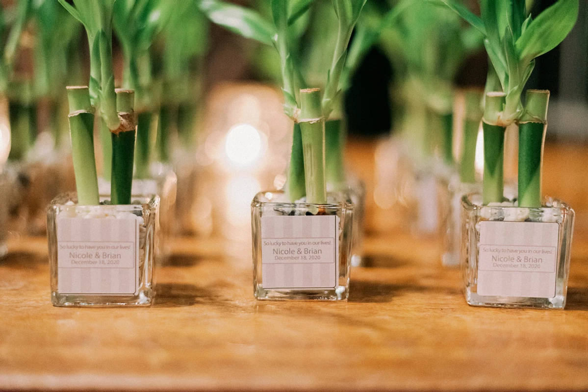 An Indoor Wedding for Nicole and Brian