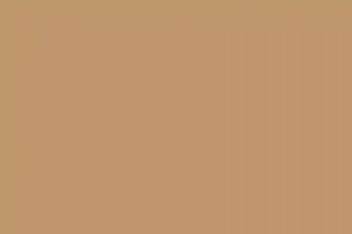 A Vibrant Sangeet for Nikita and Alok