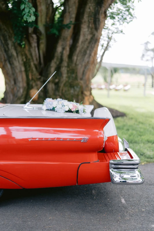 An Equestrian Wedding for Caroline and Ben