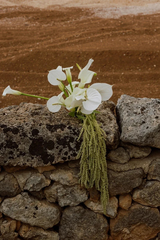 A Garden Wedding for Olivia and Kyle
