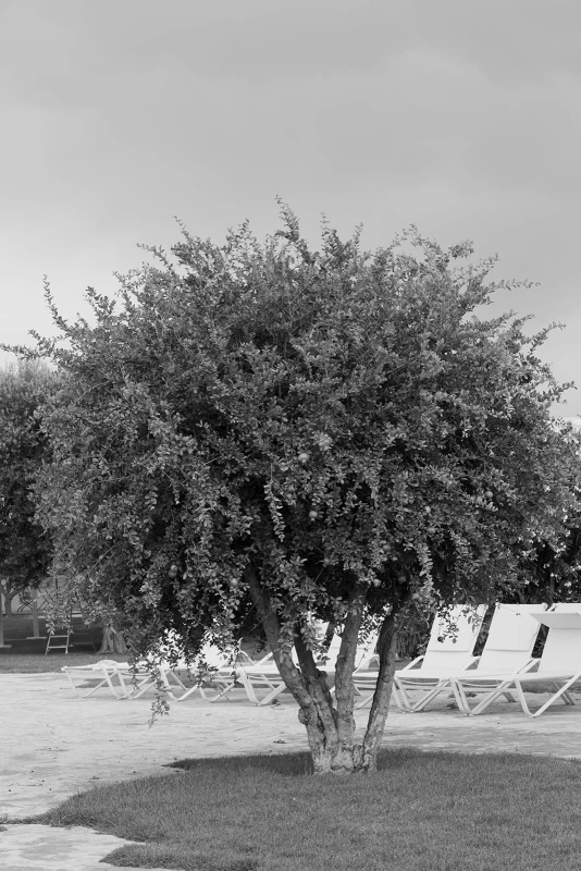 A Garden Wedding for Olivia and Kyle