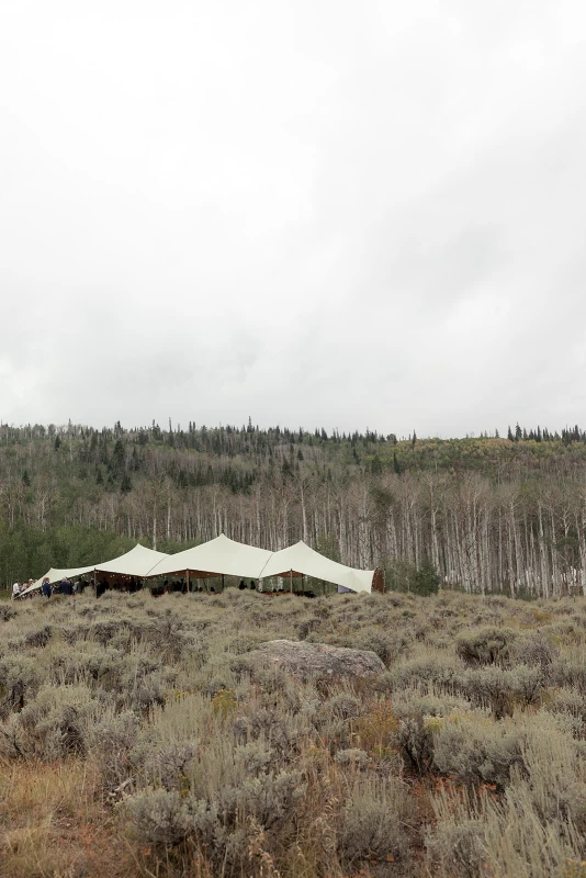 A Forest Wedding for Olivia and Zack