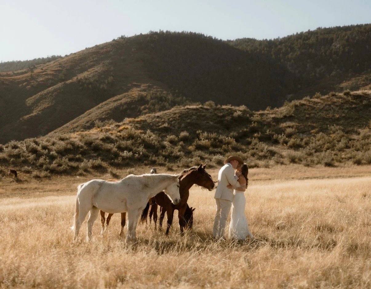 Orchard and Oak Collective 