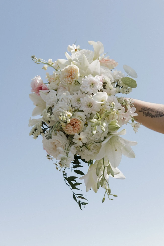 Paige Hill Photography