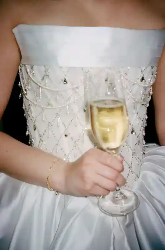 A Moody Wedding for Parisa   and Andre 