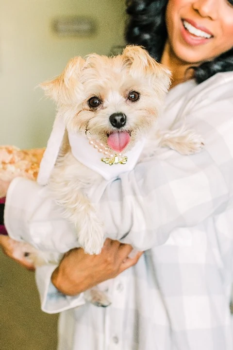 Pawfect for You