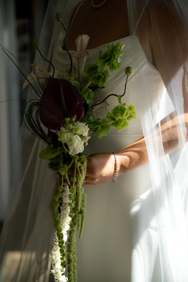 Petal and Salt