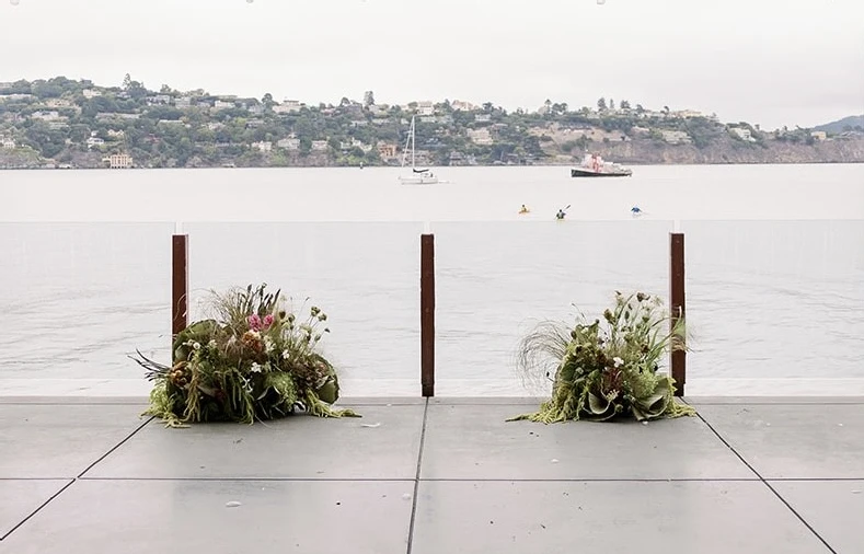 PetalsbyPaik