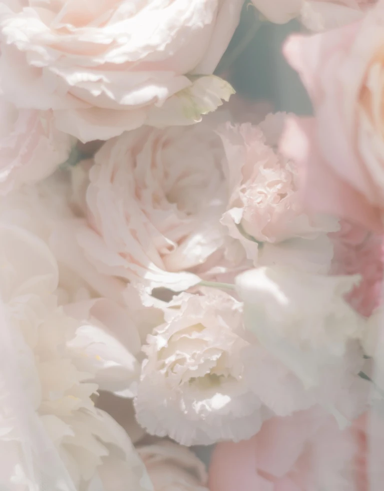 Peterman Photography & Video