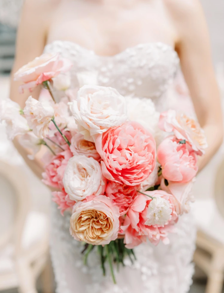 Peterman Photography & Video