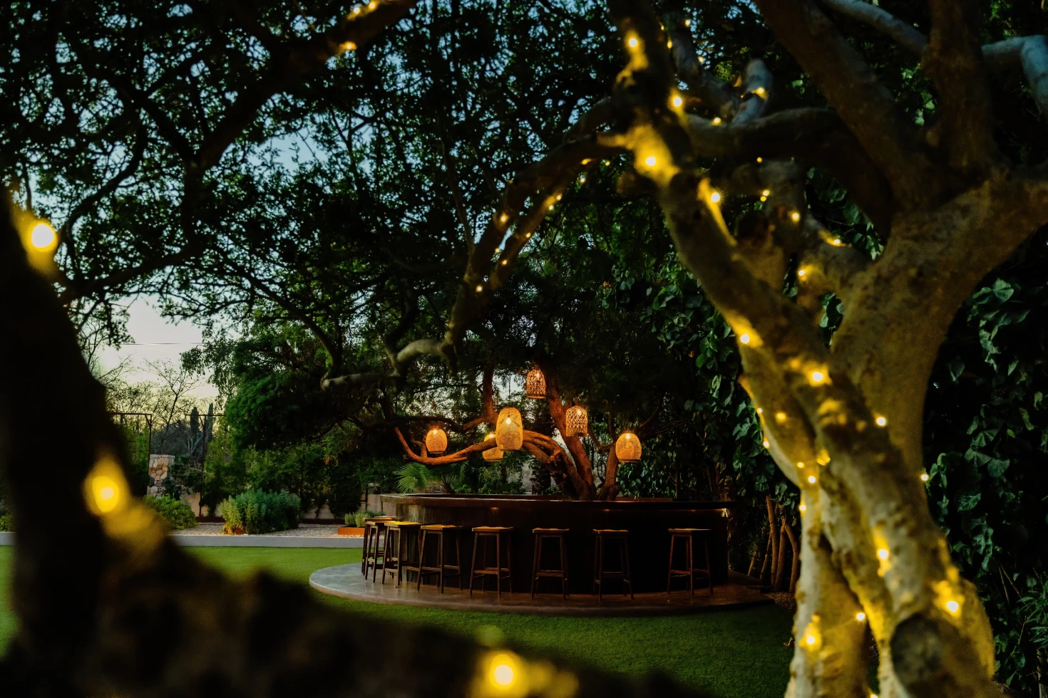 Petunias Venue 