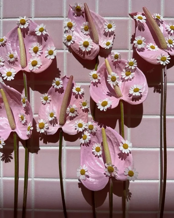The Pink Renaissance