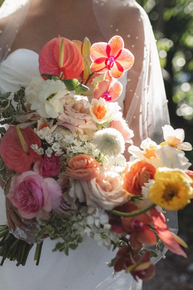 Pure Zeal Photography 