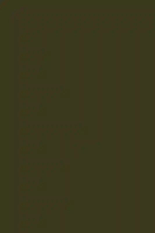 A Picturesque Wedding for Rachel  and Domenic 