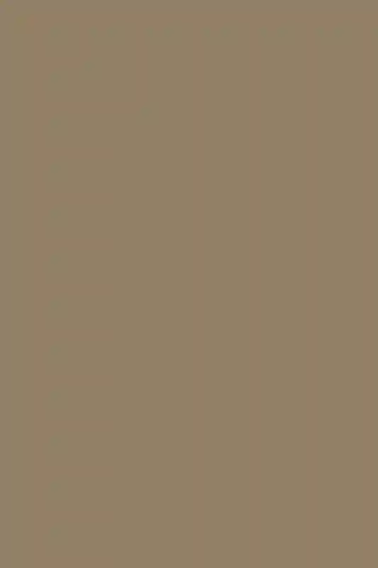 A Picturesque Wedding for Rachel  and Domenic 