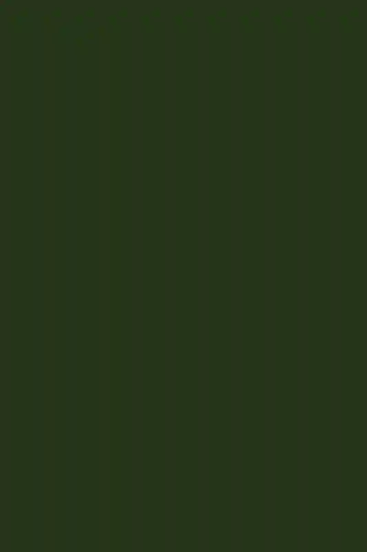 A Picturesque Wedding for Rachel  and Domenic 