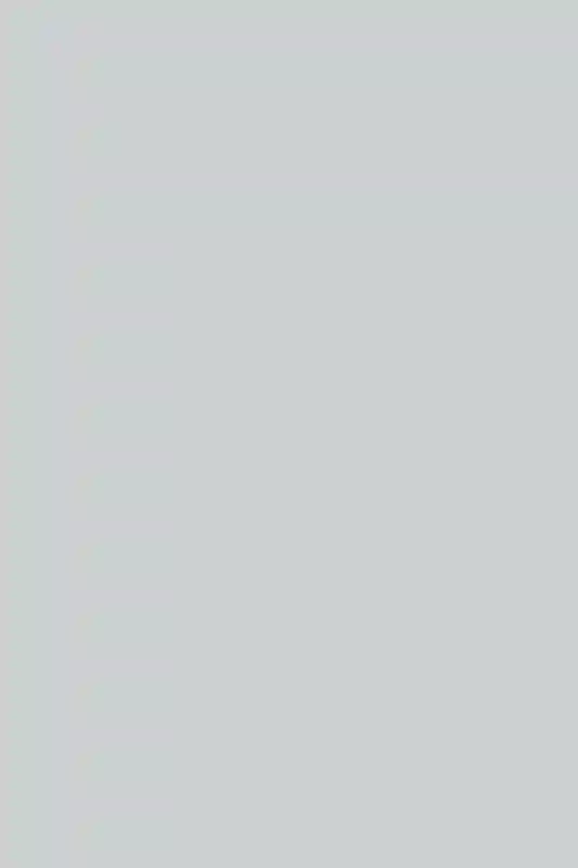 A Picturesque Wedding for Rachel  and Domenic 