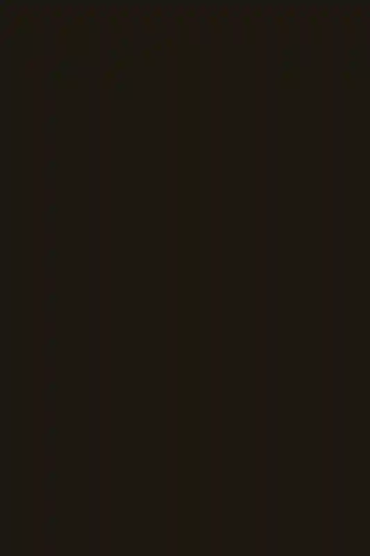 A Picturesque Wedding for Rachel  and Domenic 