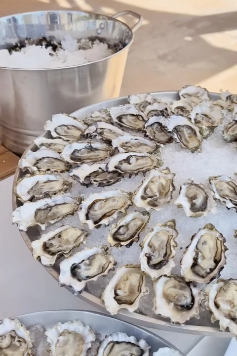 Rich Water Oysters