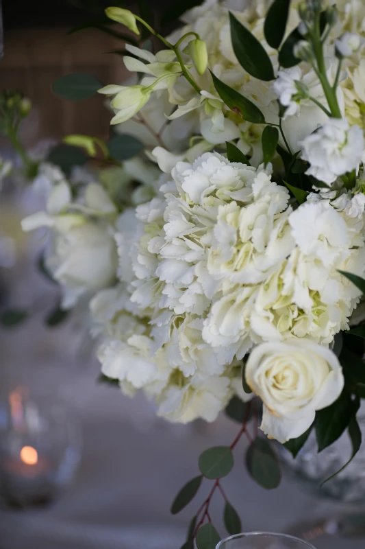 A Classic Wedding for Robin and Samuel