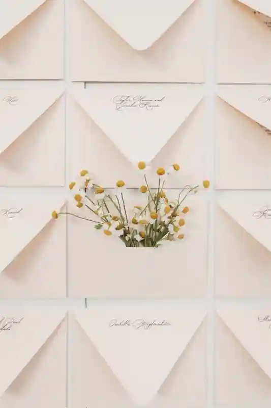 An Elegant Wedding for Sage and Connor