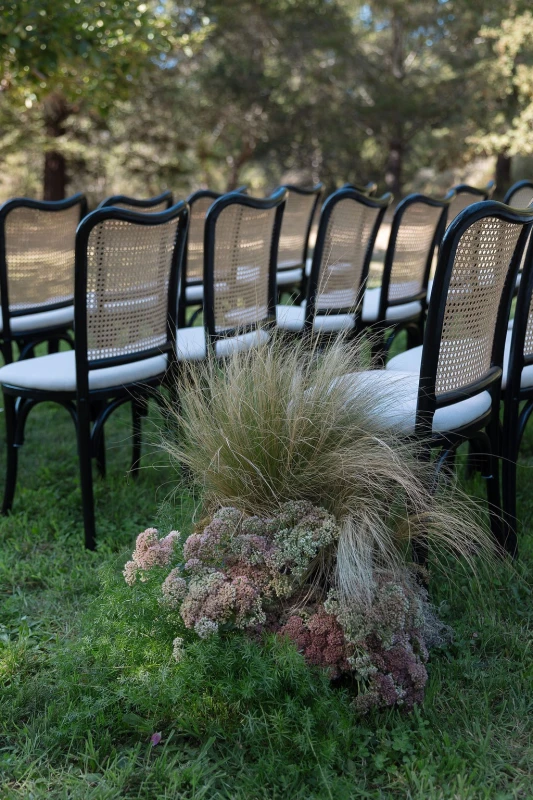 A Colorful Wedding for Sarah and Steven