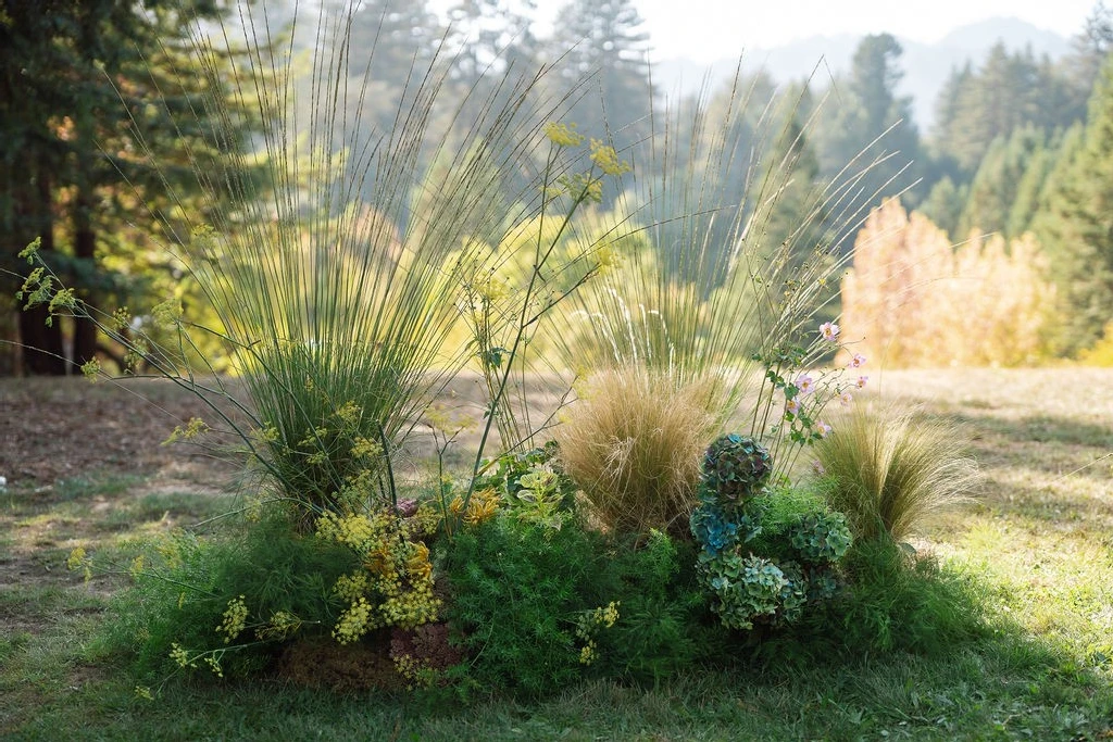 A Colorful Wedding for Sarah and Steven