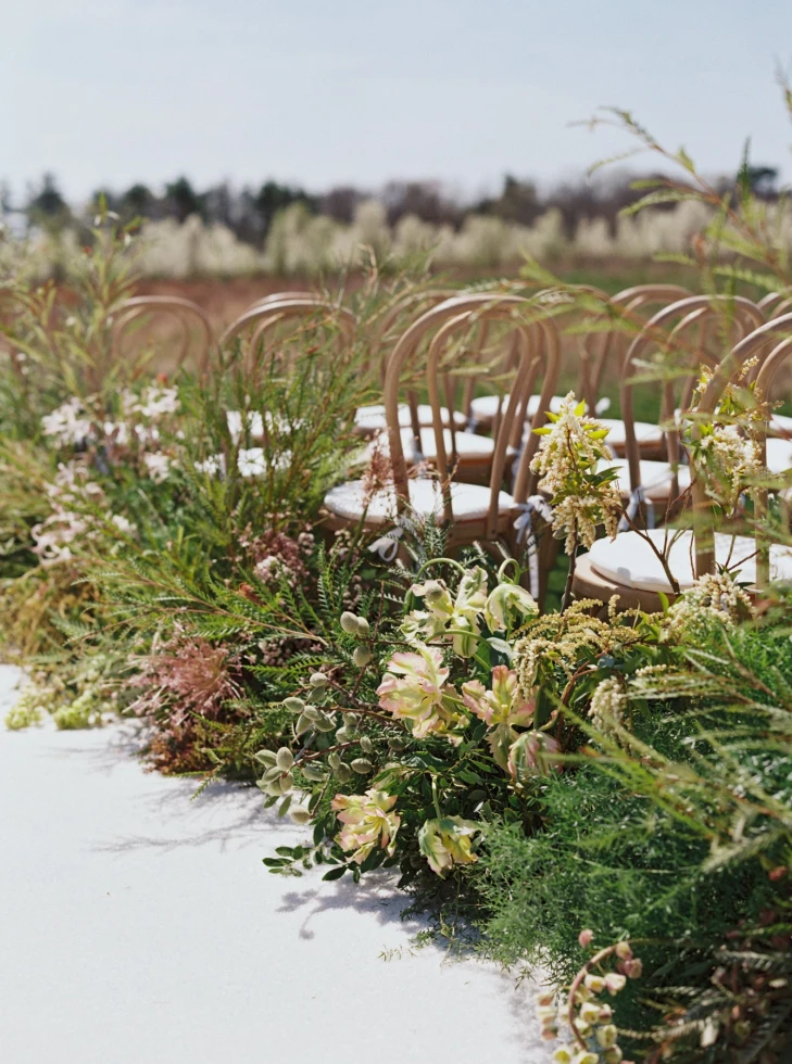 Sarah McCloskey Photography