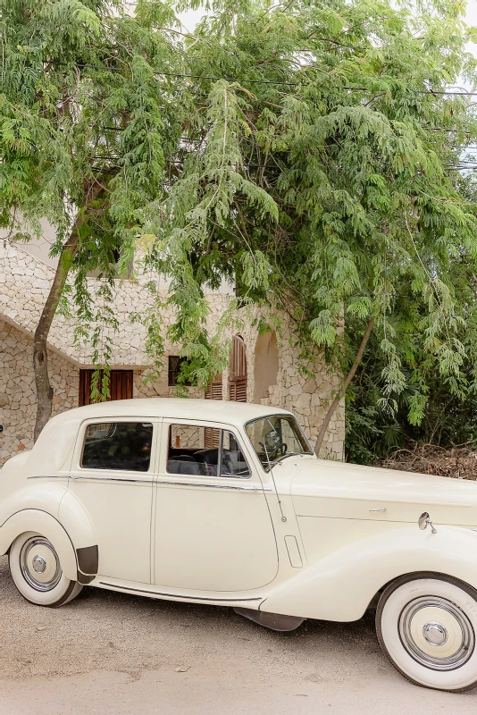 An Outdoor Wedding for Stephanie and Michael