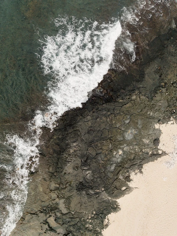 A Beach Wedding for Shalini and Ryan