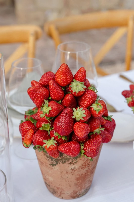 A Tuscan Wedding Where the Décor Was Ripe for the Picking