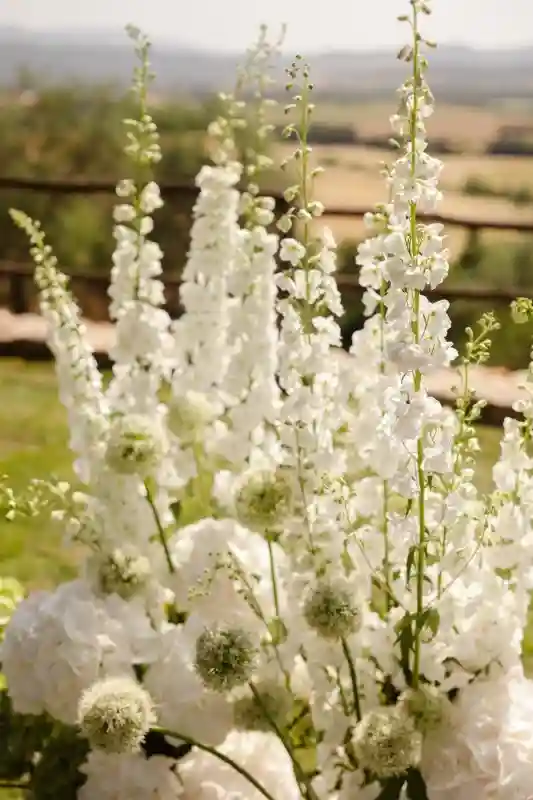 A Tuscan Wedding for Shannon and Seif