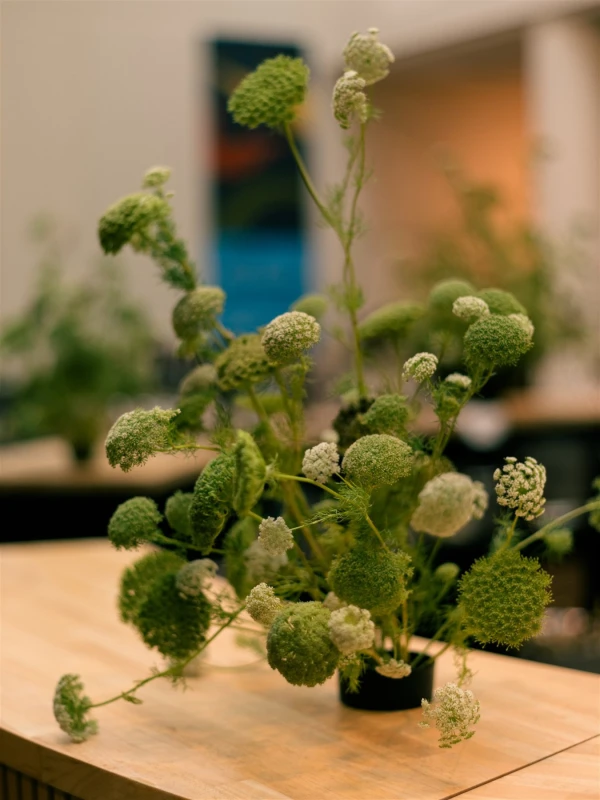 A Whimsical Wedding for Shilpika and Nico