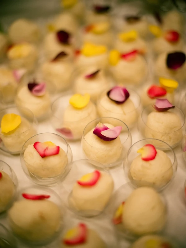 A Whimsical Wedding for Shilpika and Nico