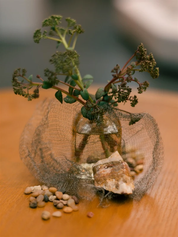 A Whimsical Wedding for Shilpika and Nico