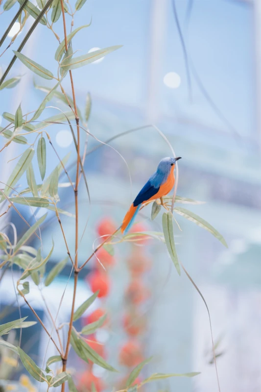 A Traditional Wedding for Sofina and Steven