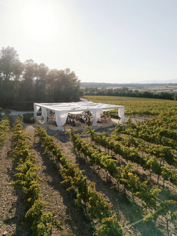 A Vineyard Wedding for Sophia and Harry
